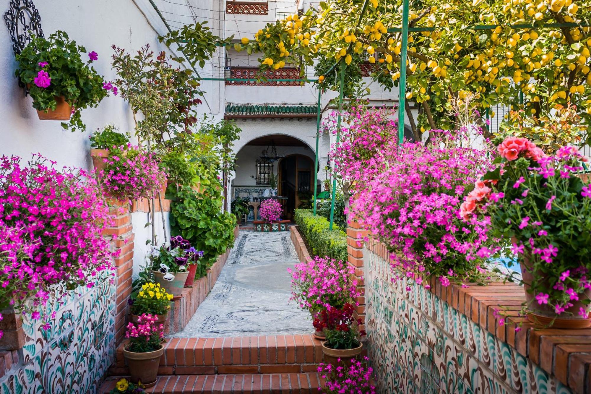 Apartmán Grazaries -Piso Centrico Granada- Exteriér fotografie